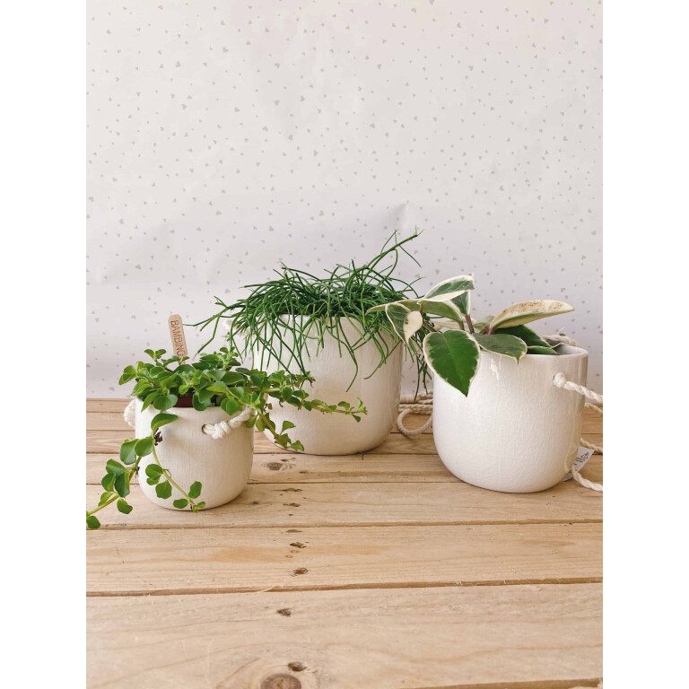 vaso corda bianco vasi per piante