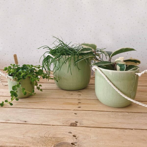 vaso corda verde vasi per piante